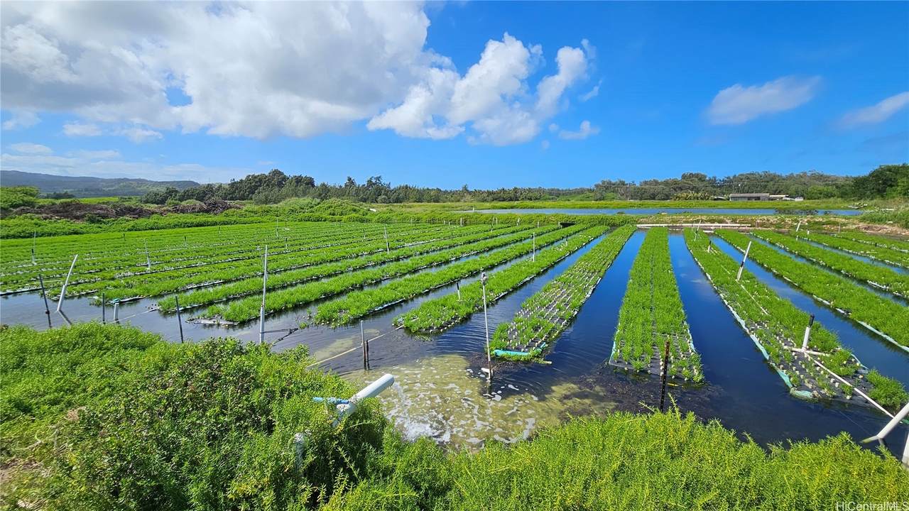 https://bt-photos.global.ssl.fastly.net/honolulu/1280_boomver_2_202606583-2.jpg