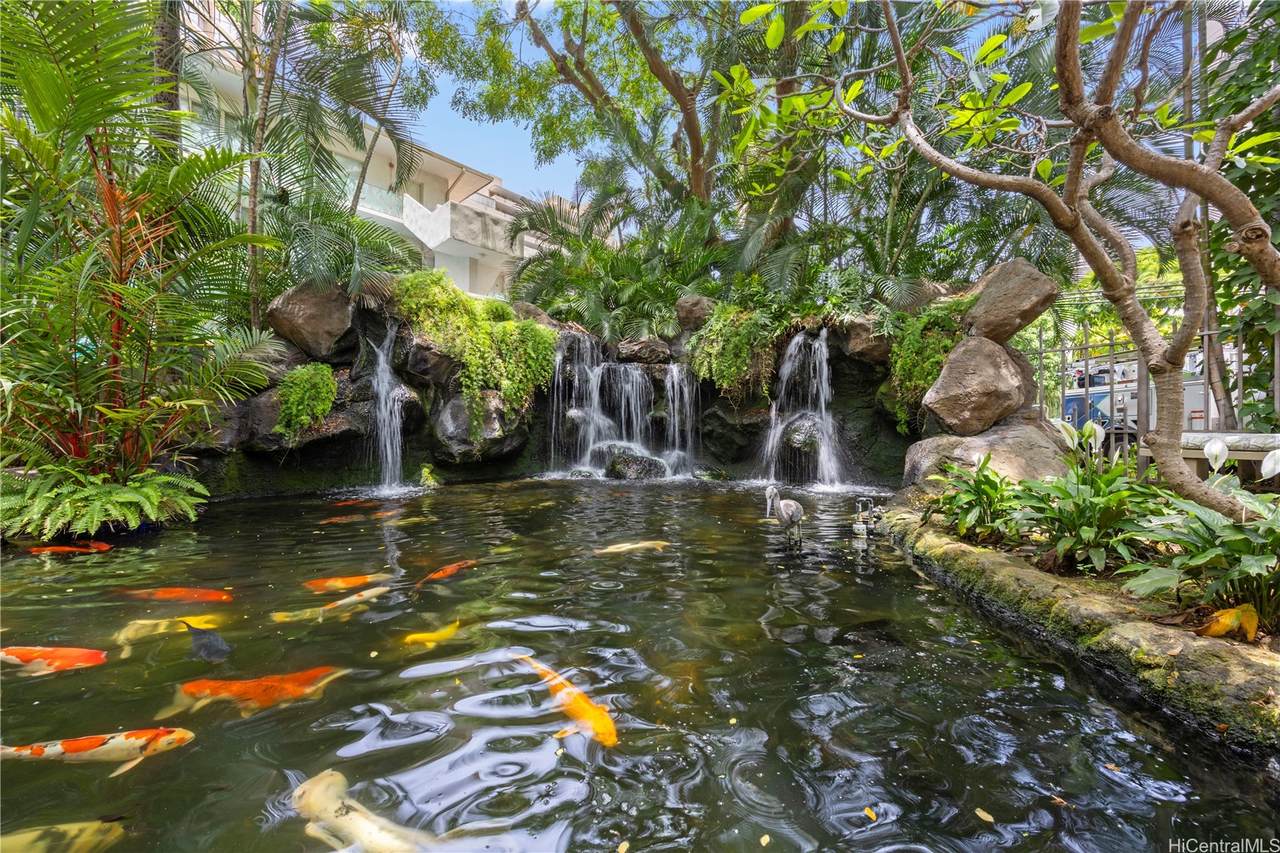 https://bt-photos.global.ssl.fastly.net/honolulu/1280_boomver_2_202609139-2.jpg