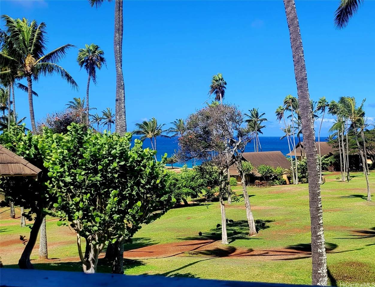 https://bt-photos.global.ssl.fastly.net/honolulu/1280_boomver_2_202613445-2.jpg