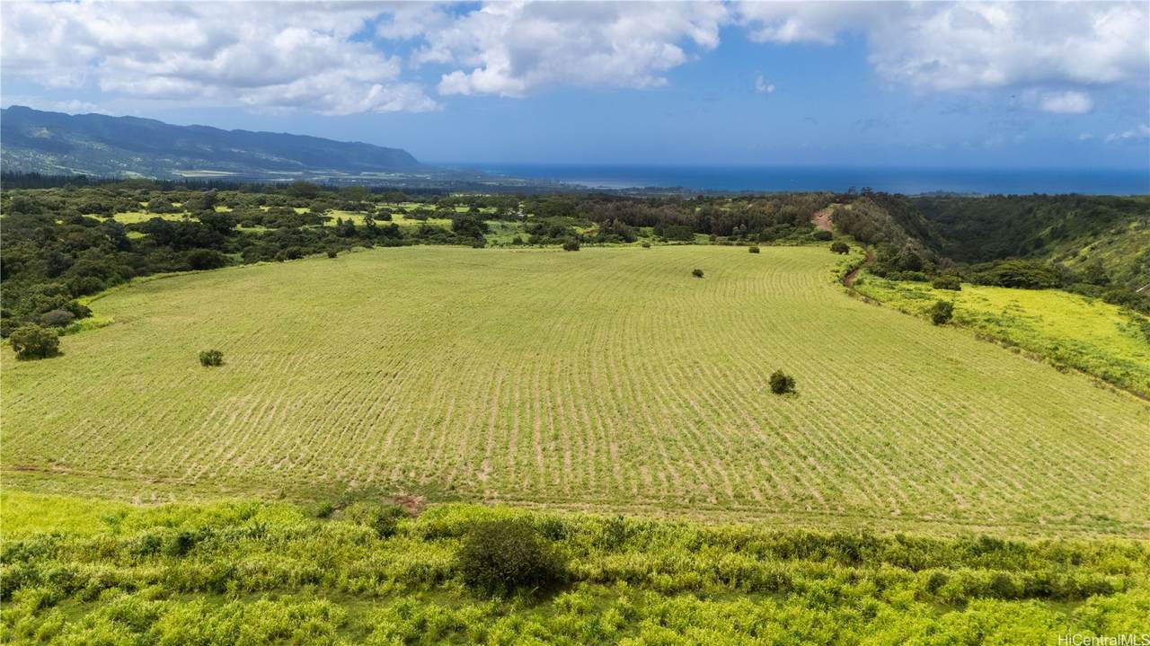 0000 Plantation Road - Photo 1
