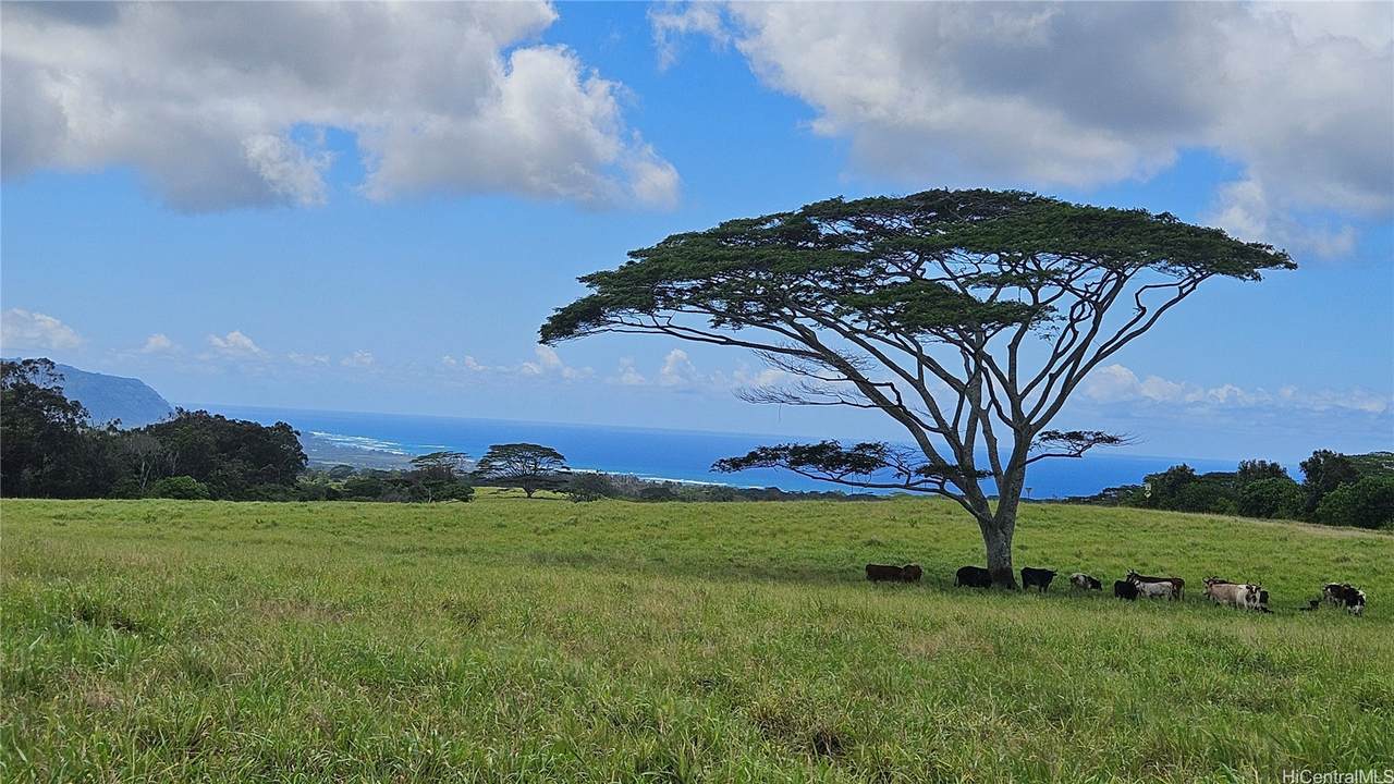 https://bt-photos.global.ssl.fastly.net/honolulu/1280_boomver_2_202617025-2.jpg
