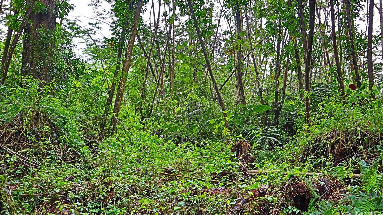 0 Ginger Road - Photo 1