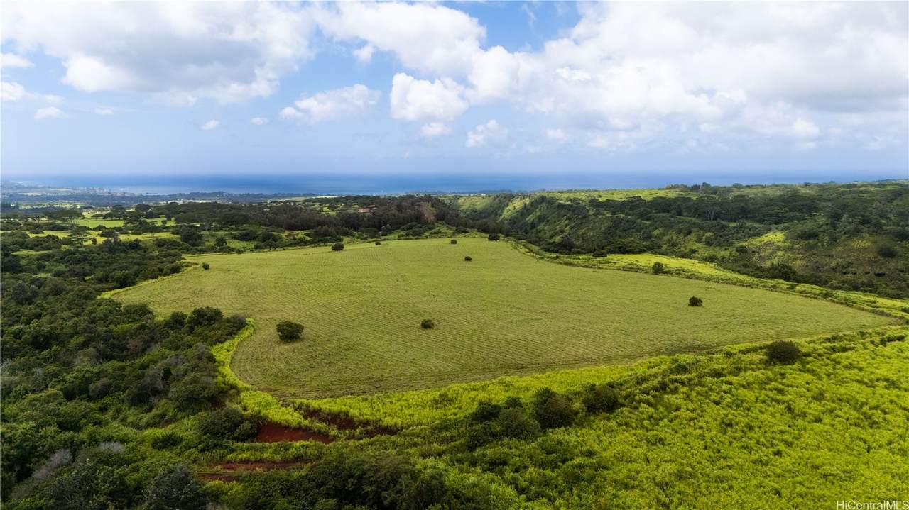 https://bt-photos.global.ssl.fastly.net/honolulu/1280_boomver_3_202617028-2.jpg