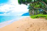 53-549 Kamehameha Highway - Photo 20