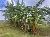 45-342 Lehuuila Street - Photo 18