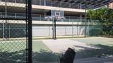 990 Ala Nanala Street - Photo 11