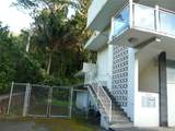 3075 Kalihi Street - Photo 17