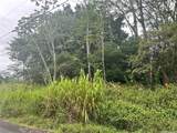 - 14th Avenue - Photo 1