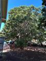 1628 Aupuni Street - Photo 4