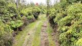 11-1785 Punahele Avenue - Photo 12