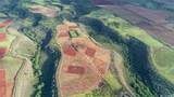 64-486 Kamehameha Highway - Photo 5