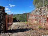 4730 Halehoola Place - Photo 9
