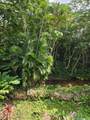 3545 Waakaua Street - Photo 7
