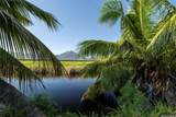 221 Kihapai Street - Photo 10