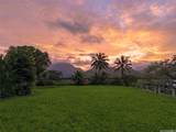 221 Kihapai Street - Photo 5