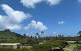 320 Ainakea Way - Photo 20