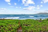 592 Kaimalino Street - Photo 4