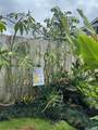 94-1074 Paawalu Street - Photo 11