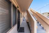 2105 Algaroba Street - Photo 3