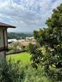 2274 Ailolo Place - Photo 2