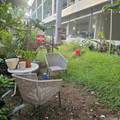 430 Keoniana Street - Photo 19