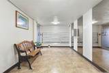 1415 Punahou Street - Photo 18