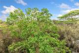 95-269 Waikalani Drive - Photo 12