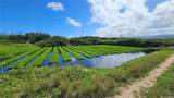 56-1081 Kamehameha Highway - Photo 10