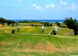 56-1081 Kamehameha Highway - Photo 20