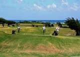 56-1081 Kamehameha Highway - Photo 19