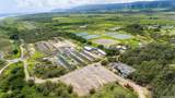 56-1081 Kamehameha Highway - Photo 7