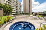 38 Judd Street - Photo 22