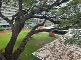 2752 Kahoaloha Lane - Photo 12