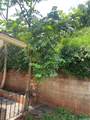 94-794 Kaaka Street - Photo 8