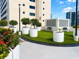 615 Keawe Street - Photo 12