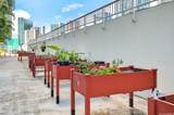 909 Kapiolani Boulevard - Photo 23