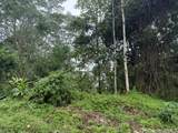 15-716 Puni Mauka Loop - Photo 11