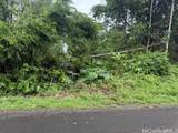 15-716 Puni Mauka Loop - Photo 12
