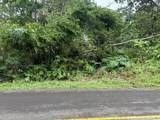 15-716 Puni Mauka Loop - Photo 4