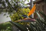 744 Kalanipuu Street - Photo 21