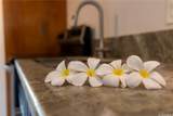 1700 Makiki Street - Photo 6