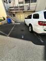 1325 School Street - Photo 4