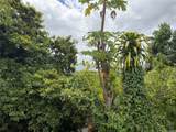 1358 Wanaka Street - Photo 6