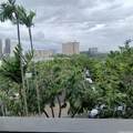 1619 Kamamalu Street - Photo 7