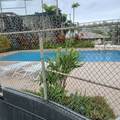 1619 Kamamalu Street - Photo 9