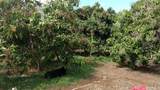 84-425 Makaha Valley Road - Photo 23