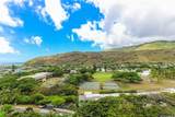 555 Hahaione Street - Photo 2