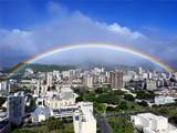 888 Kapiolani Boulevard - Photo 13