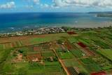 0000 Farrington Highway - Photo 4
