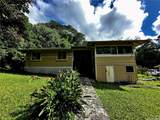 3330 Kalihi Street - Photo 5